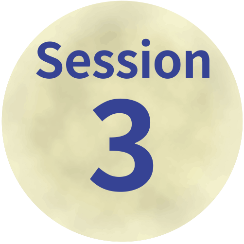 Session 3